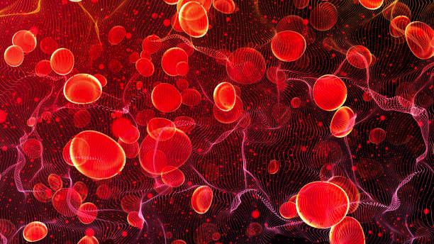 CBC test price Complete blood count.